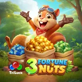 3 Fortune Nuts